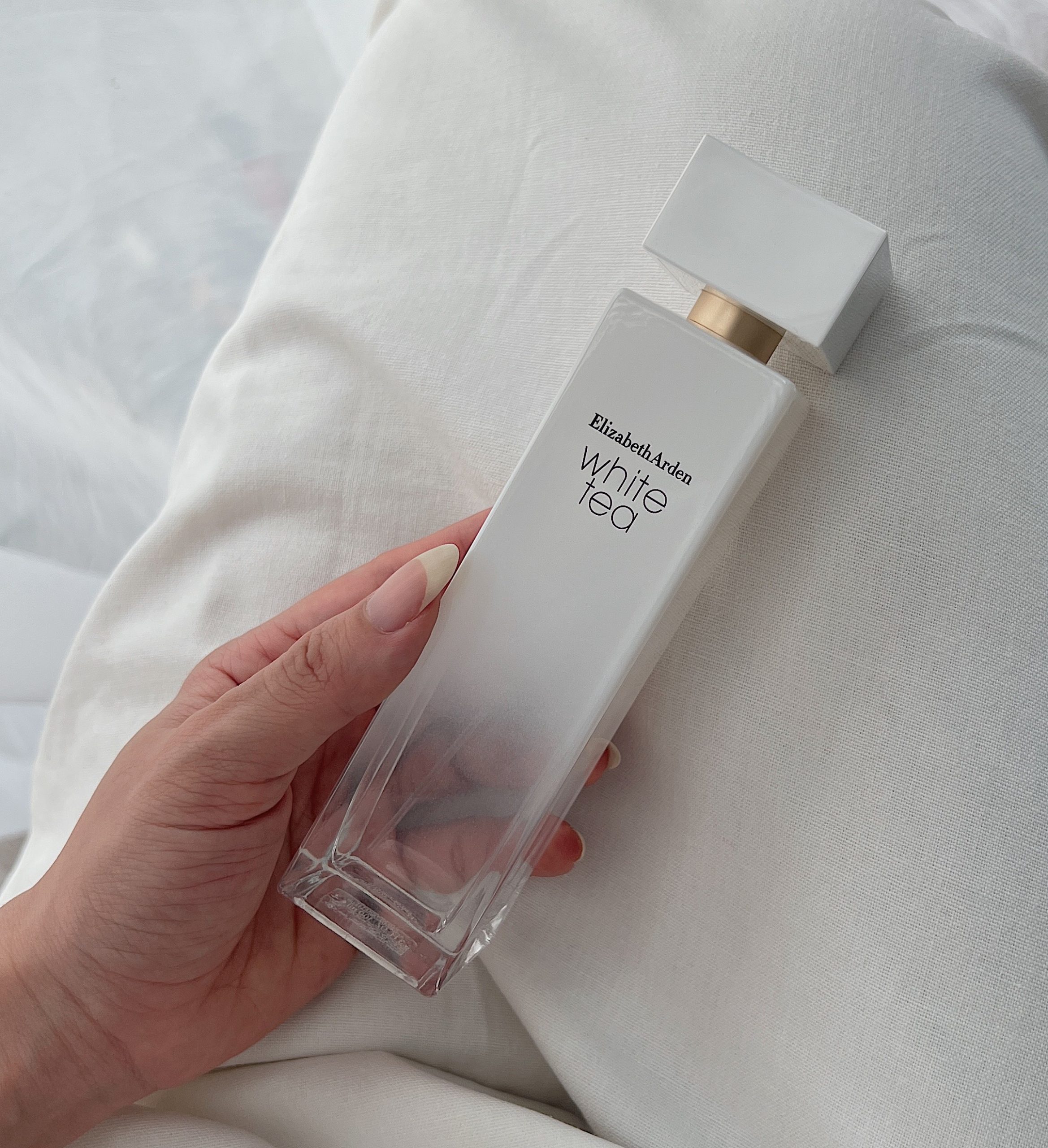 z4428094026145_fb55e5f54afbe7201a151c4af2a303a1