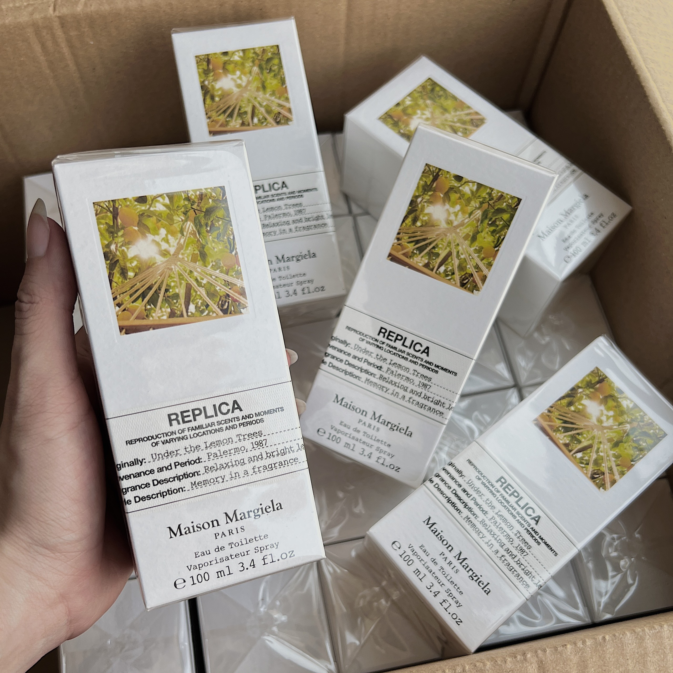 z4442853946712_0d79edc02bbf5bee3b01e8a47980c6fe