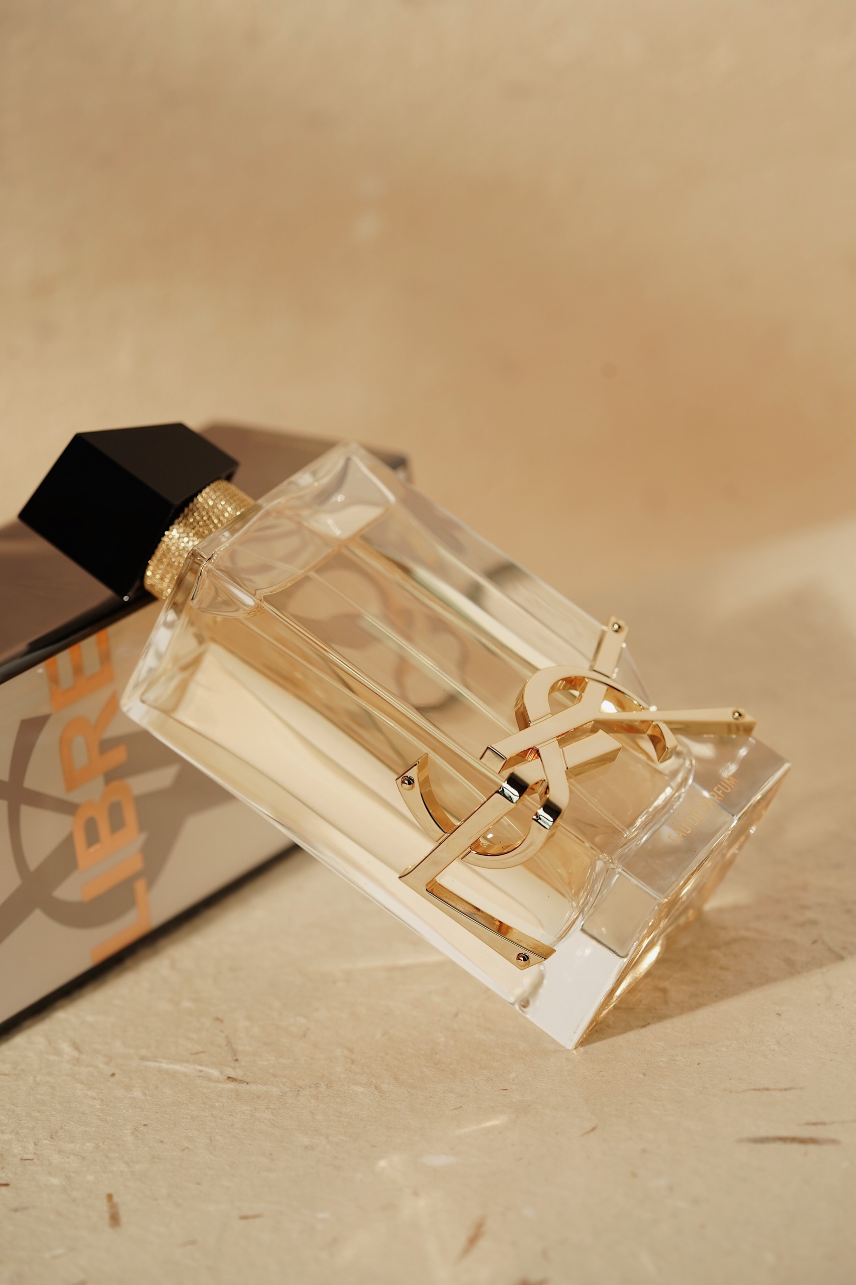 z4466923735765_fc88e6cb7ae449f75ffe1326c4995518