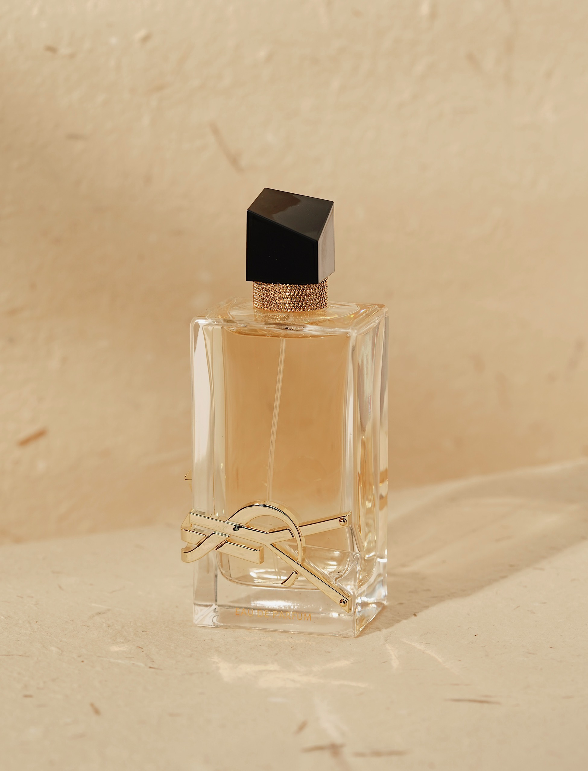 z4466923742205_9e6d5d44a7389bccf1df21326b1fd0b3